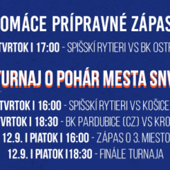 Prípravné zápasy v sezóne 2025/2026